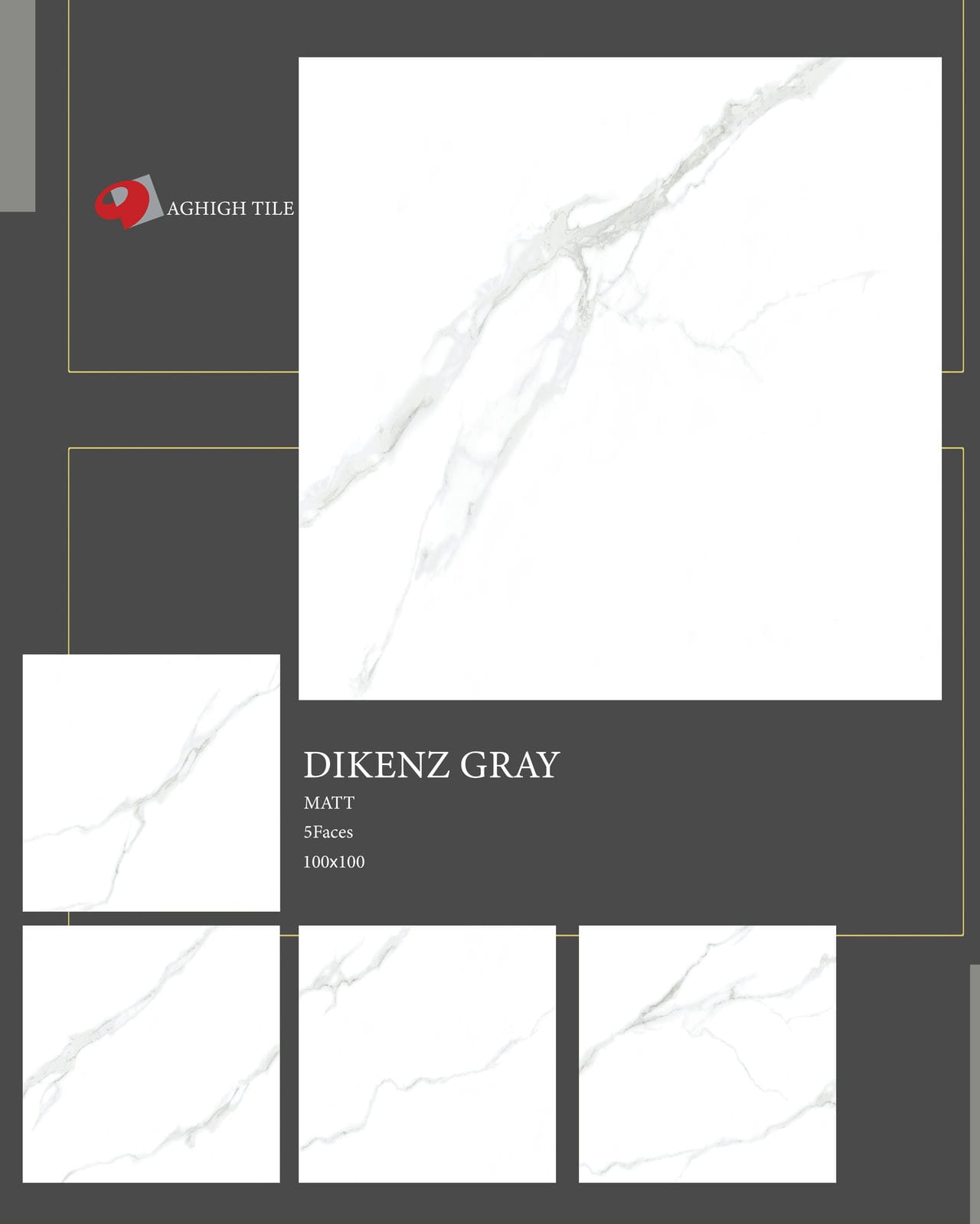 Dikenz Poster Gray