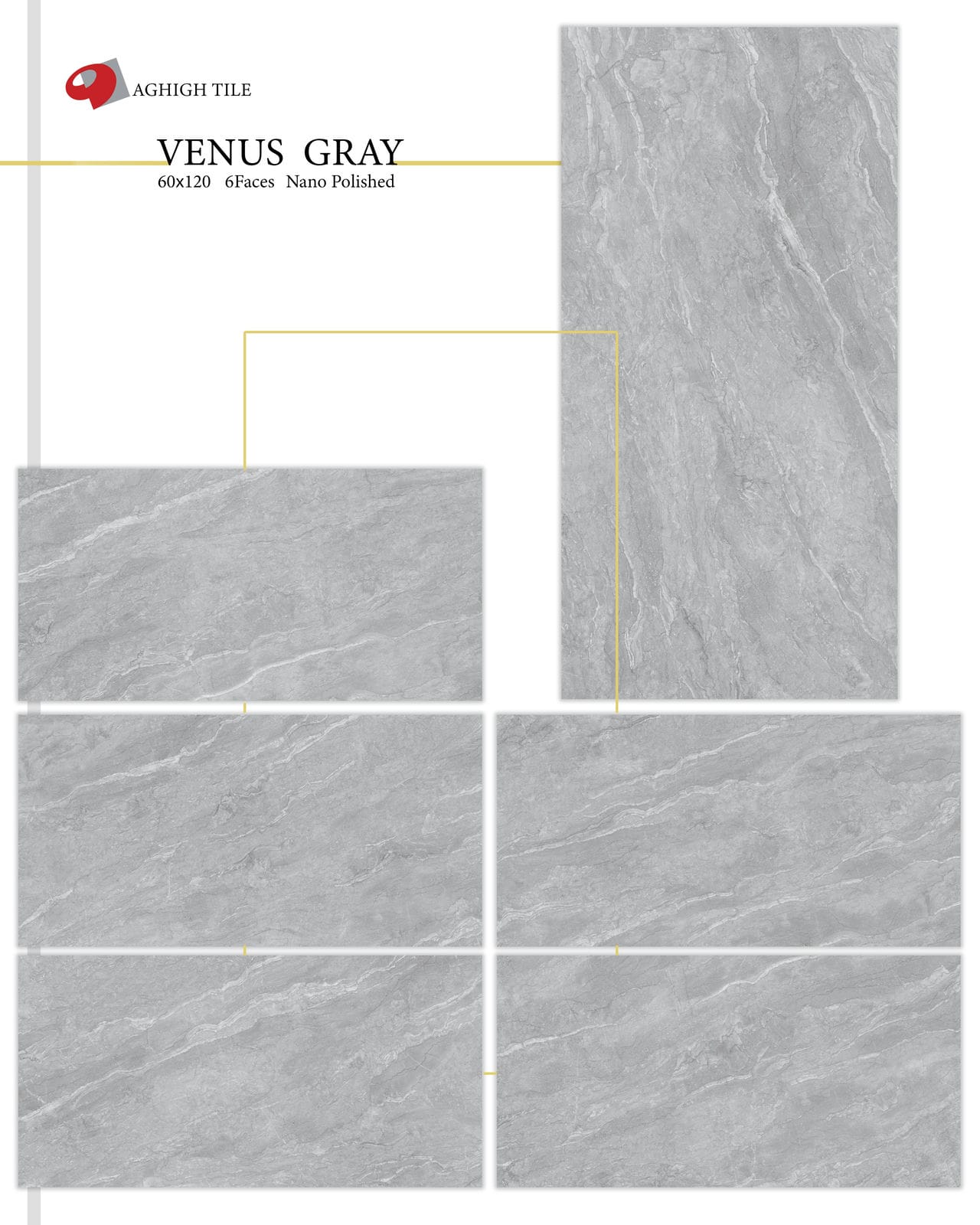Venus Gray Poster